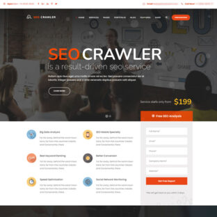 Criar Site Agência Marketing WordPress Responsivo 654 S v1