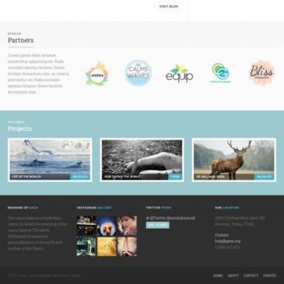 Template para Ongs WordPress Responsivo 863 v3