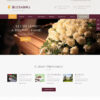 Criar Site Funerária WordPress Responsivo 1292 S