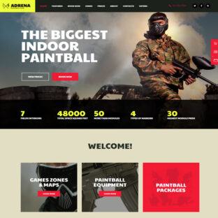 Criar Site Paintball Wordpress