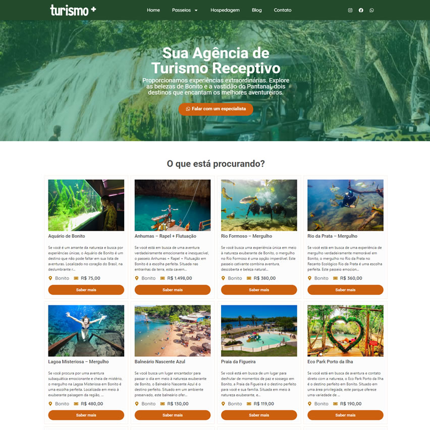 Criar Site Agência de Turismo Tema WordPress Elementor 1739 Fácil de Editar